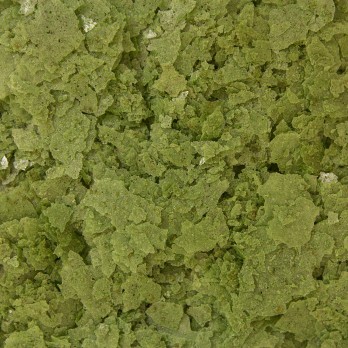 OCEAN NUTRITION Formula 'Two' Flakes 34gr
