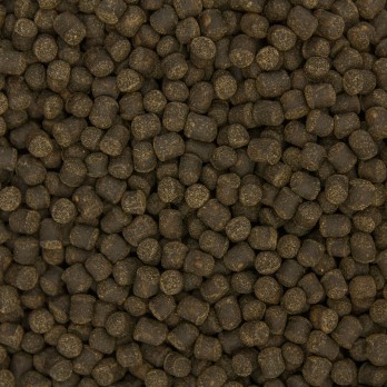 OCEAN NUTRITION CICHLID Vegi Pellets MED 100gr