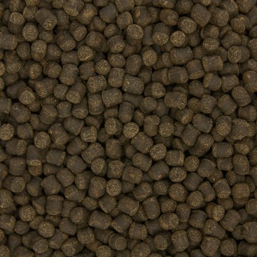 OCEAN NUTRITION CICHLID Vegi Pellets SMALL 100gr