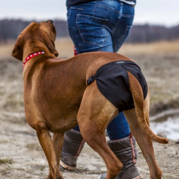 DOG PANTS 7 DEUTSCHE DOGGER
