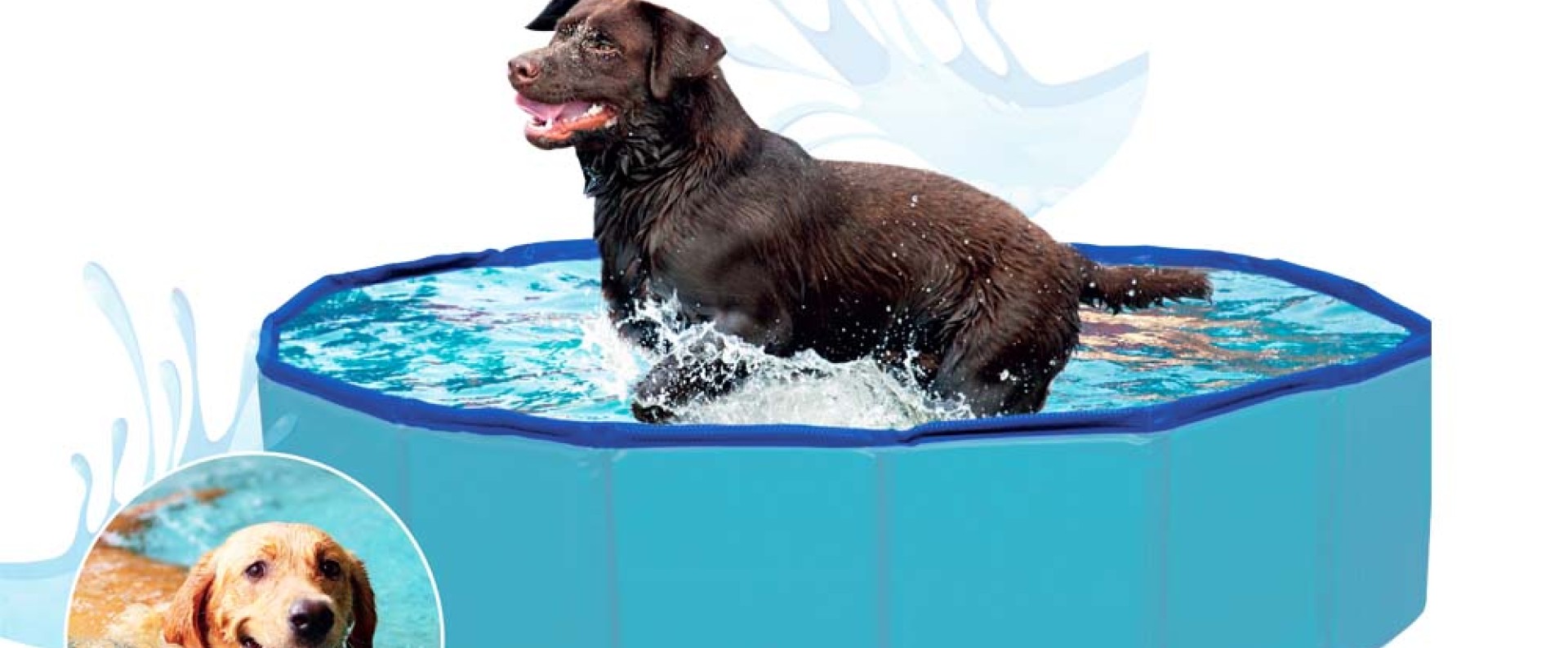 Πισίνες Για Σκύλους