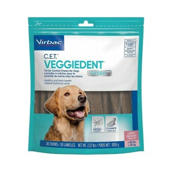 VEGGIEDENT DTT LARGE