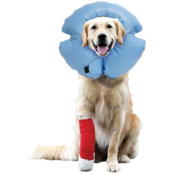 R&R ΚΟΛΑΡΟ ΕΛΙΣΣΑΒΕΤ STAY X-SMALL