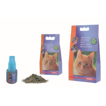 NOBBY CATNIP GRASS 25gr