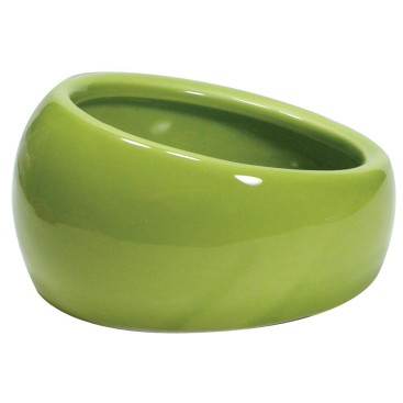 LW Ergonomic Dish green large