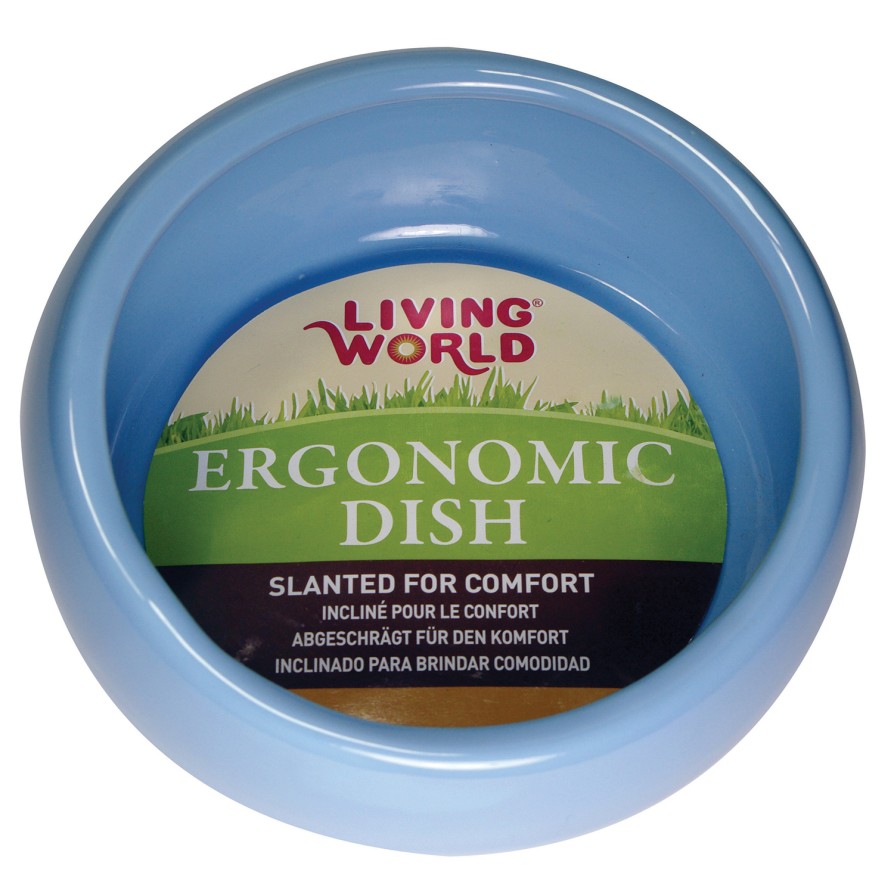 LW Ergonomic Dish blue small 