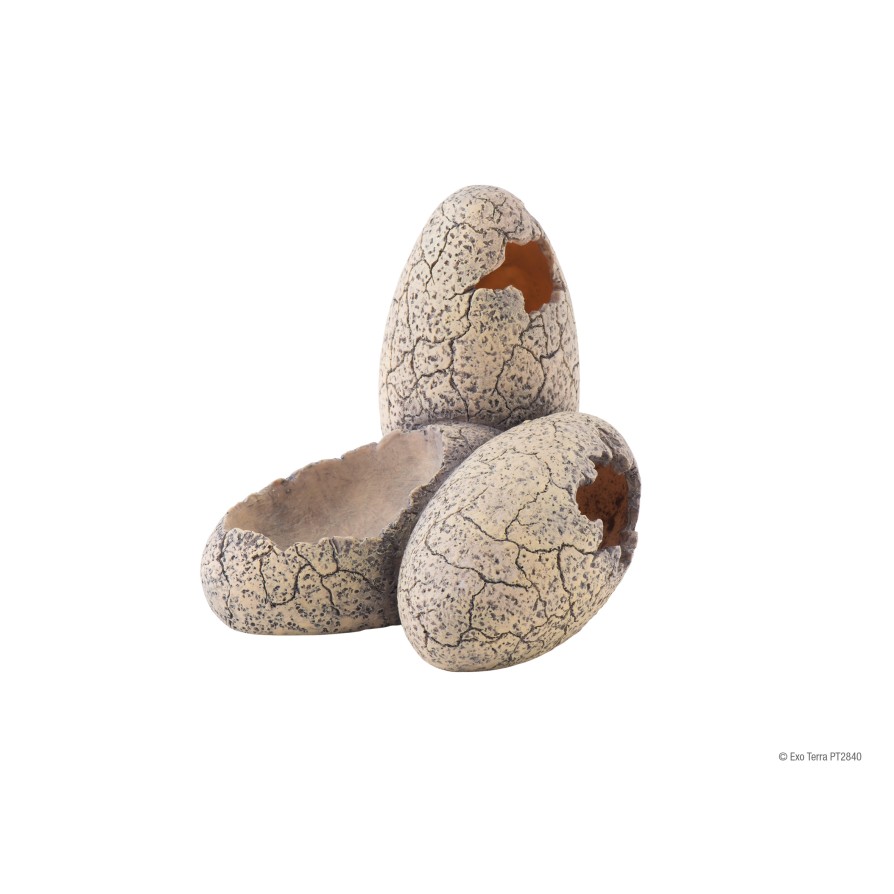 Exo Terra Dinosaur Eggs - Hide & Water D EXO TERRA