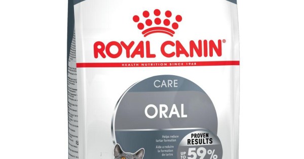 Royal canin Alimento en Forma de Croquetas para Gatos - 1 x 1.37 kg