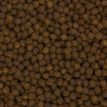 OCEAN NUTRITION CICHLID Omni Pellets SMALL 200gr