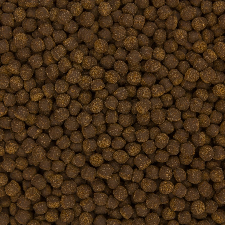 CICHLID OMNI PELLET SMALL 200GR OCEAN NUTRITION