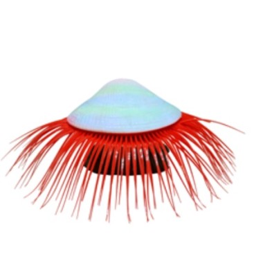 ΔΙΑΚΟΣΜΗΤΙΚΟ ΕΝΥΔΡΕΙΟΥ ΚΟΧΥΛΙ ΜΕ ΔΙΑΜΑΝΤΙ