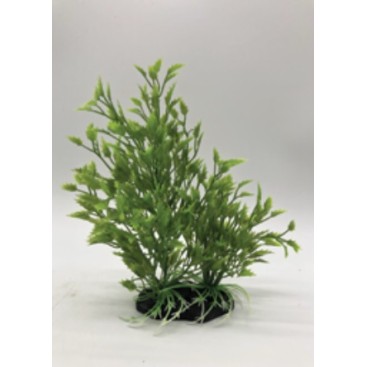 ΔΙΑΚΟΣΜΗΤΙΚΟ ΦΥΤΟ ΕΝΥΔΡΕΙΟΥ AQUARISTIC ΠΡΑΣΙΝΟ 20CM