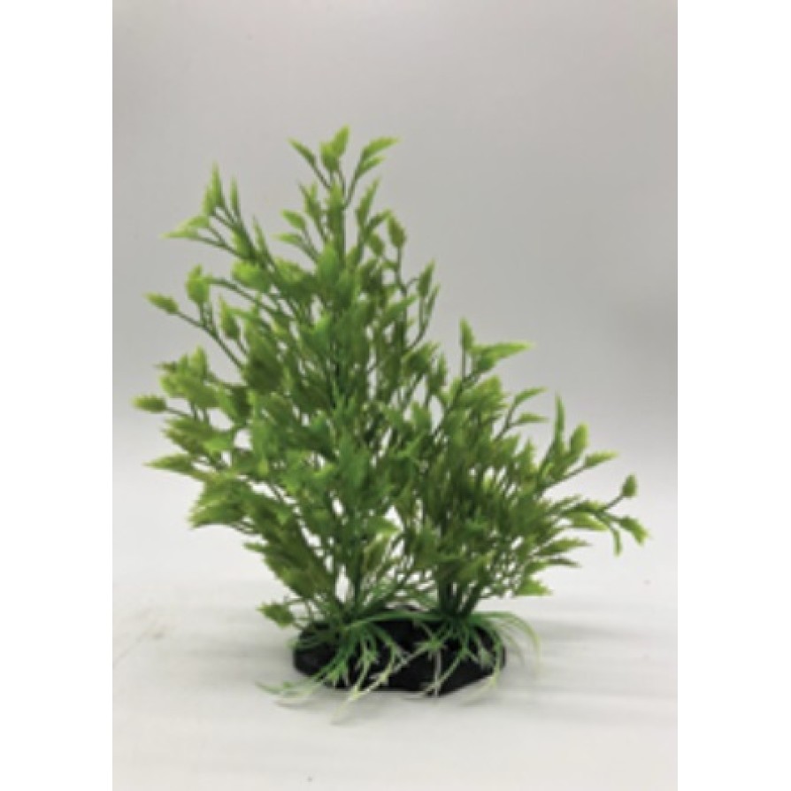ΔΙΑΚΟΣΜΗΤΙΚΟ ΦΥΤΟ ΕΝΥΔΡΕΙΟΥ AQUARISTIC ΠΡΑΣΙΝΟ 20CM AQUARISTIC