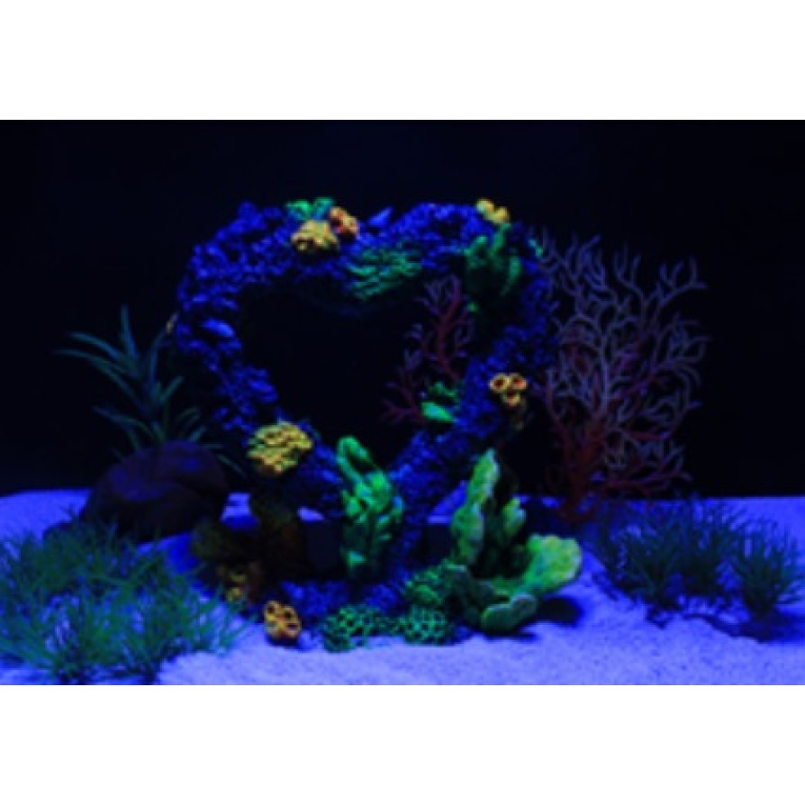 ΔΙΑΚΟΣΜΗΤΙΚΟ ΕΝΥΔΡΕΙΟΥ ΒΡΑΧΟΣ ΜΕ ΚΑΡΔΙΑ AQUARISTIC AQUARISTIC