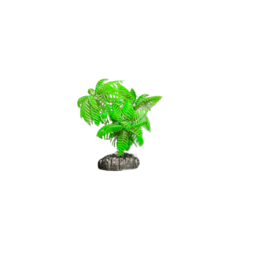 ΔΙΑΚΟΣΜΗΤΙΚΑ ΦΥΤΑ ΕΝΥΔΡΕΙΟΥ ΠΡΑΣΙΝΟ AQUARISTIC 15CM