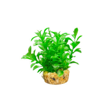 ΔΙΑΚΟΣΜΗΤΙΚΑ ΦΥΤΑ ΕΝΥΔΡΕΙΟΥ ΠΡΑΣΙΝΟ AQUARISTIC 10CM