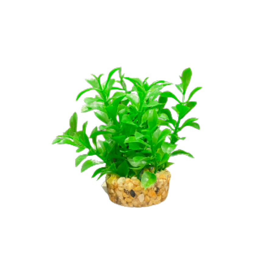 ΔΙΑΚΟΣΜΗΤΙΚΑ ΦΥΤΑ ΕΝΥΔΡΕΙΟΥ ΠΡΑΣΙΝΟ AQUARISTIC 10CM AQUARISTIC