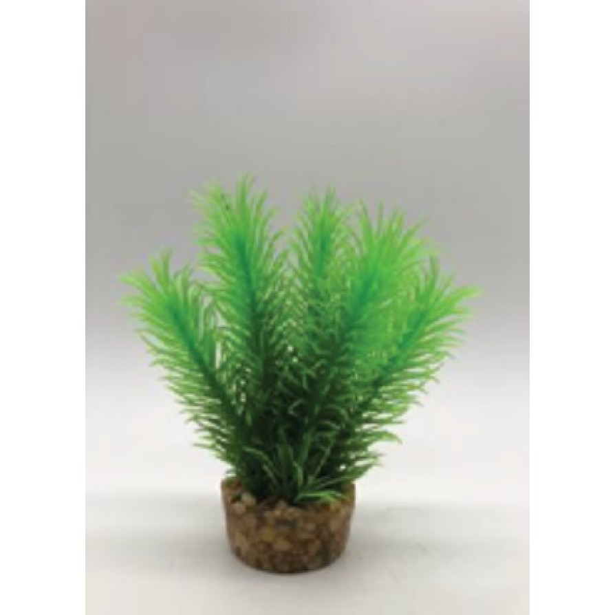 ΔΙΑΚΟΣΜΗΤΙΚΑ ΦΥΤΑ ΕΝΥΔΡΕΙΟΥ ΠΡΑΣΙΝΟ AQUARISTIC 15CM AQUARISTIC