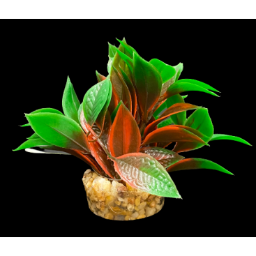 ΔΙΑΚΟΣΜΗΤΙΚΑ ΦΥΤΑ ΕΝΥΔΡΕΙΟΥ ΜΠΟΡΝΤΟ ΠΡΑΣΙΝΟ AQUARISTIC 10CM