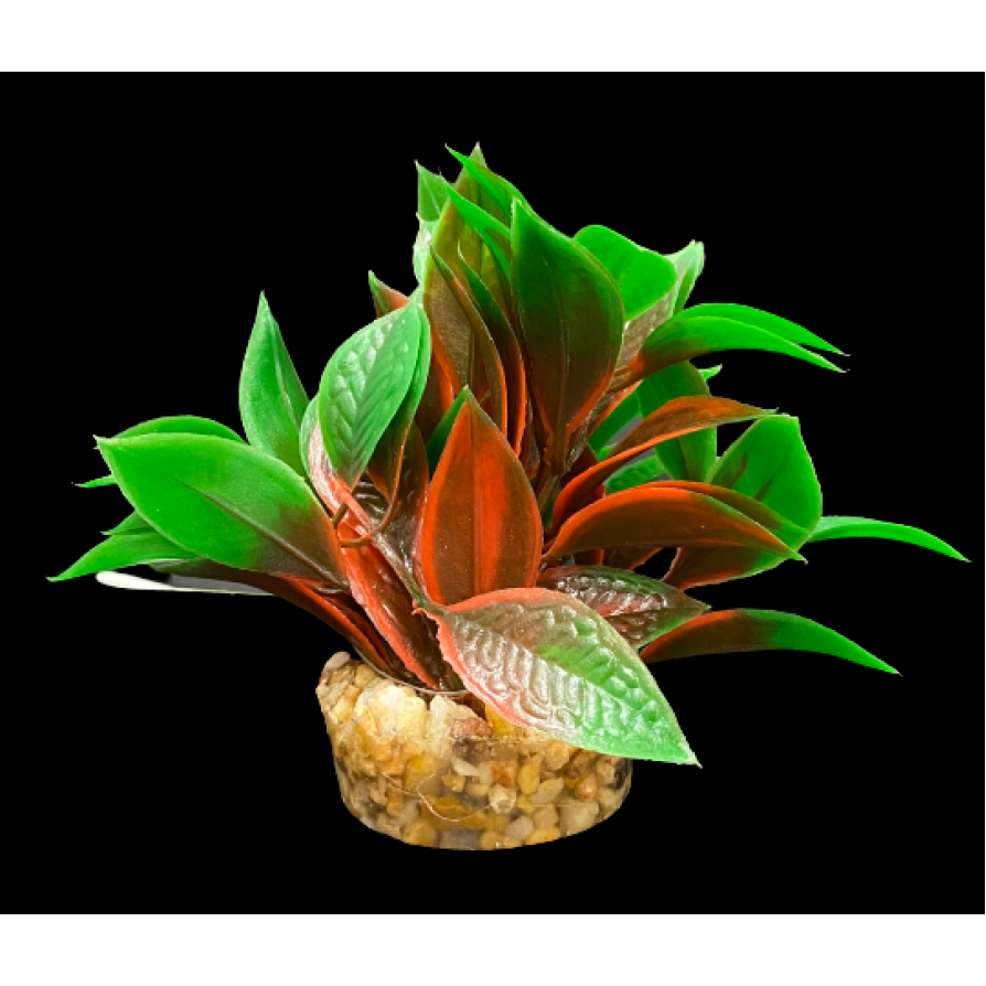 ΔΙΑΚΟΣΜΗΤΙΚΑ ΦΥΤΑ ΕΝΥΔΡΕΙΟΥ ΜΠΟΡΝΤΟ ΠΡΑΣΙΝΟ AQUARISTIC 10CM AQUARISTIC