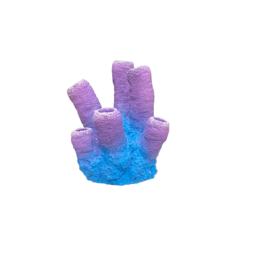 ΔΙΑΚΟΣΜΗΤΙΚΑ ΦΥΤΑ ΕΝΥΔΡΕΙΟΥ ΚΟΡΑΛΙ ΜΩΒ AQUARISTIC