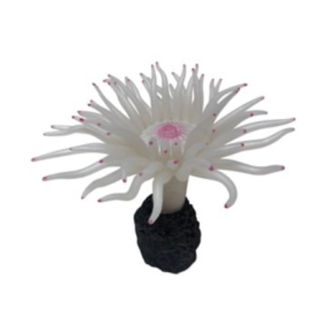 ΔΙΑΚΟΣΜΗΤΙΚΟΣ ΒΡΑΧΟΣ ΕΝΥΔΡΕΙΟΥ ΜΕ ΛΕΥΚΗ ΑΝΕΜΩΝΗ AQUARISTIC