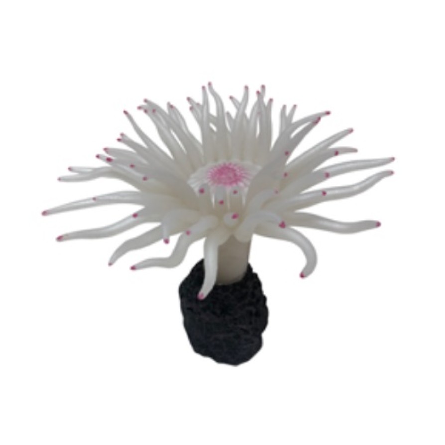 ΔΙΑΚΟΣΜΗΤΙΚΟΣ ΒΡΑΧΟΣ ΕΝΥΔΡΕΙΟΥ ΜΕ ΛΕΥΚΗ ΑΝΕΜΩΝΗ AQUARISTIC AQUARISTIC