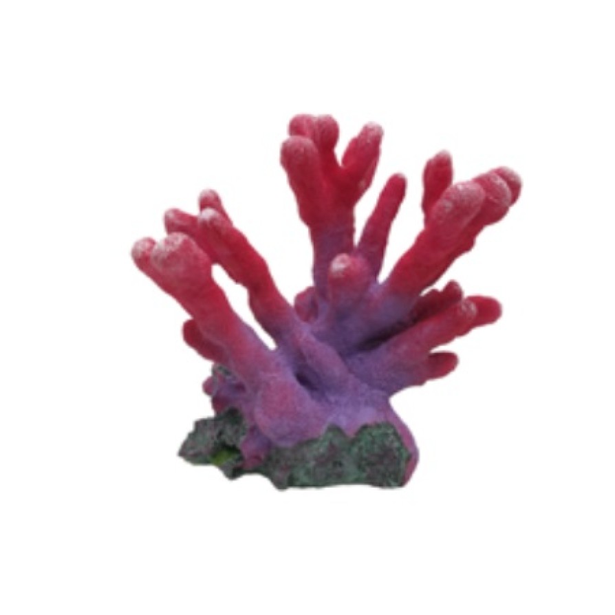 ΔΙΑΚΟΣΜΗΤΙΚΟ ΕΝΥΔΡΕΙΟΥ ΚΟΡΑΛΙ KOKKINO AQUARISTIC AQUARISTIC