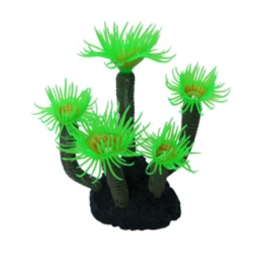 ΔΙΑΚΟΣΜΗΤΙΚΑ ΕΝΥΔΡΕΙΟΥ GREEN CORAL AQUARISTIC