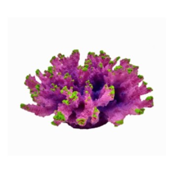 ΔΙΑΚΟΣΜΗΤΙΚΟ ΕΝΥΔΡΕΙΟΥ CORAL ΜΩΒ AQUARISTIC