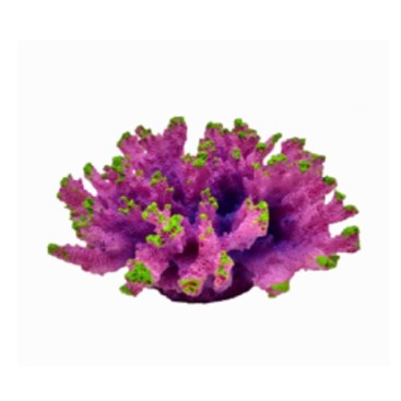 ΔΙΑΚΟΣΜΗΤΙΚΟ ΕΝΥΔΡΕΙΟΥ CORAL ΜΩΒ AQUARISTIC