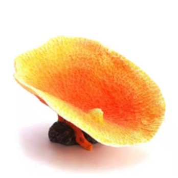 ΔΙΑΚΟΣΜΗΤΙΚΟ ΕΝΥΔΡΕΙΟΥ ΚΟΧΥΛΙ ΡΟΖ AQUARISTIC