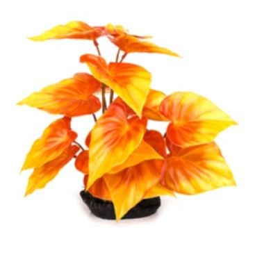 ΔΙΑΚΟΣΜΗΤΙΚΑ ΦΥΤΑ ΠΛΑΣΤΙΚΑ ΕΝΥΔΡΕΙΟΥ AQUARISTIC ΠΛΑΤΥΦΥΛΛΑ ΠΟΡΤΟΚΑΛΙ