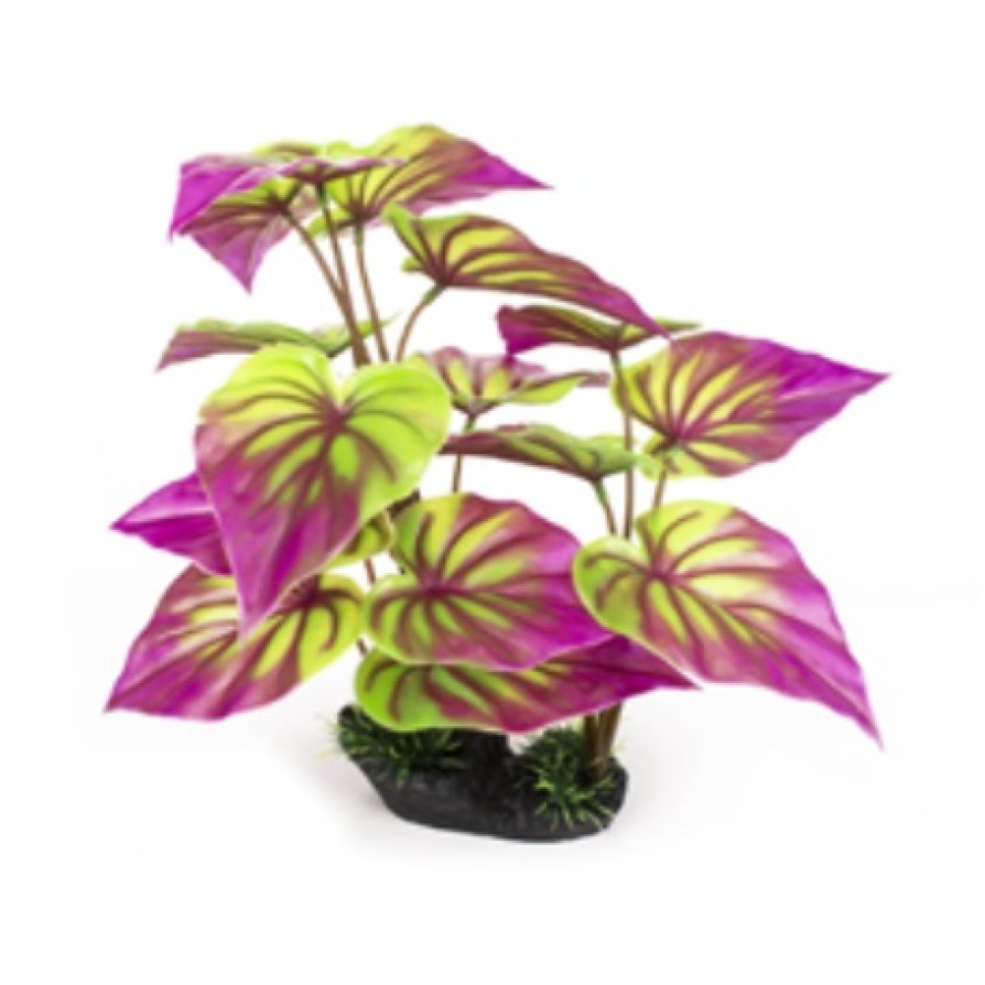 ΔΙΑΚΟΣΜΗΤΙΚΑ ΦΥΤΑ ΠΛΑΣΤΙΚΑ ΕΝΥΔΡΕΙΟΥ AQUARISTIC ΠΛΑΤΥΦΥΛΛΑ ΜΩΒ AQUARISTIC