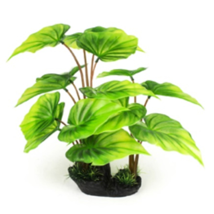 ΔΙΑΚΟΣΜΗΤΙΚΑ ΦΥΤΑ ΠΛΑΣΤΙΚΑ ΕΝΥΔΡΕΙΟΥ AQUARISTIC ΠΛΑΤΥΦΥΛΛΑ ΠΡΑΣΙΝΟ AQUARISTIC