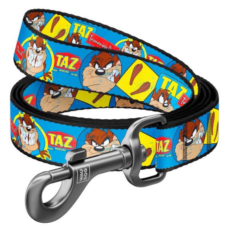 LOONIE 8" M: 20MM X 122CM ΟΔΗΓΟΙ