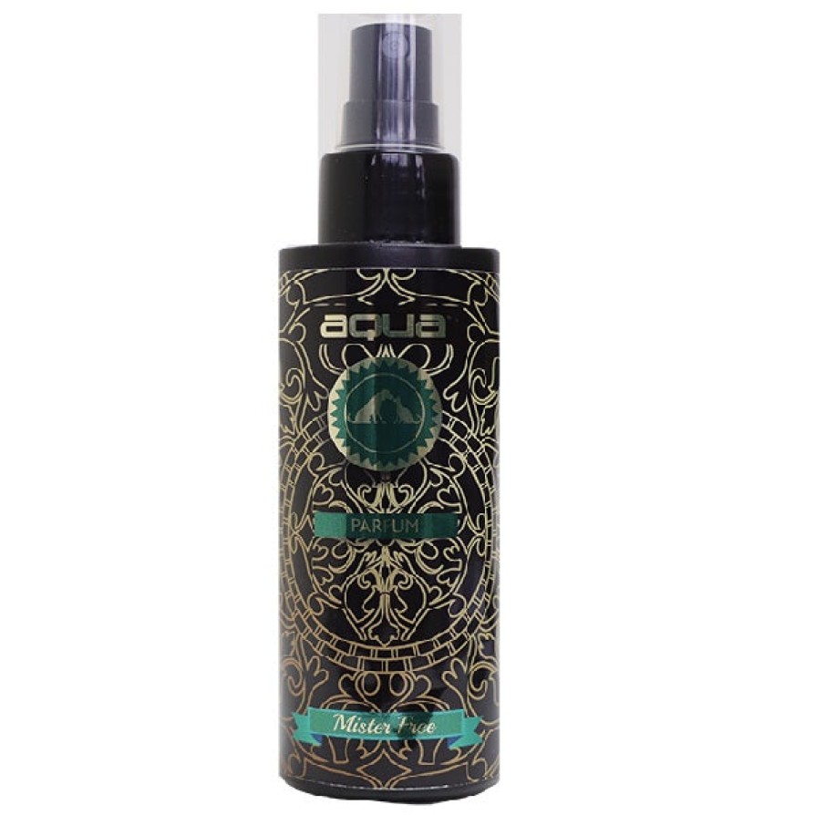 AQUA PARFUME 02 MISTER FREE 100ML ECO AQUA