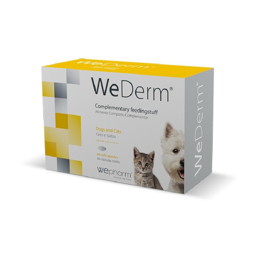 WEDERM 60 ΚΑΨΟΥΛΕΣ ΛΙΠΑΡΑ ΟΞΕΑ ΑΣΒΕΣΤΙΟ-ΓΛΥΚΟΖΑΜΙΝΗ-ΧΟΝΔΡΟΙΤΙΝΗ