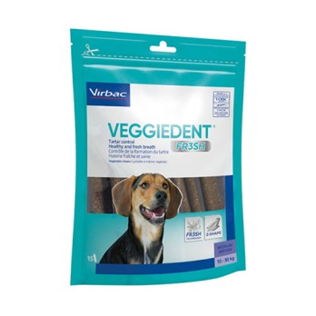 VEGGIEDENT DTT MEDIUM
