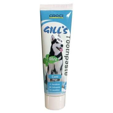 GILL'S MINT TOOTHPASTE 100GR