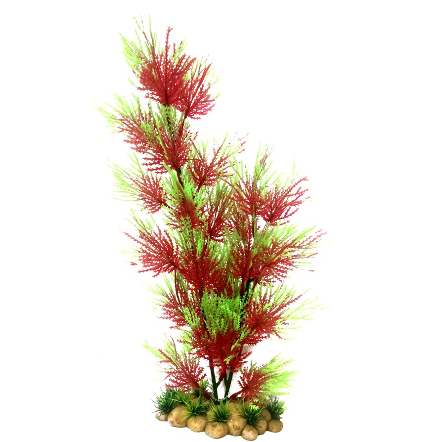 GREEN/PURPLE - AQIATIC GRASS 15/38CM CLASSIC