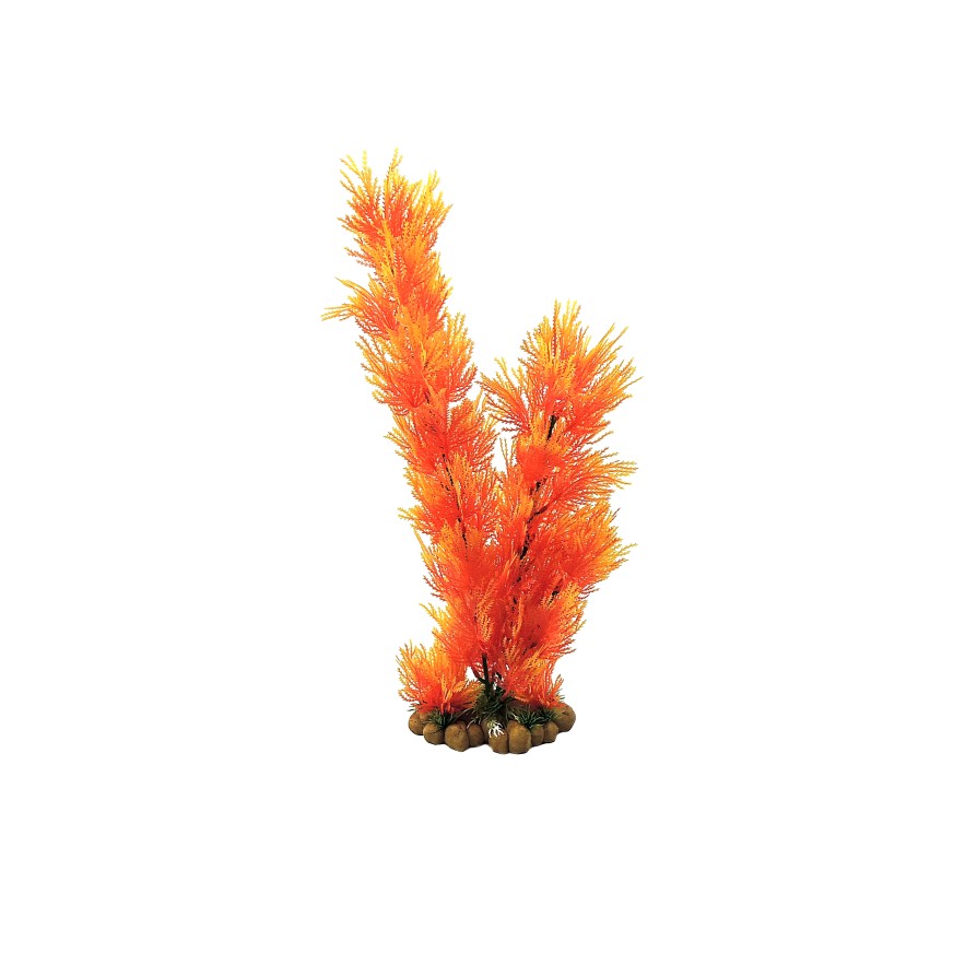 ORANGE - AQUATIC GRASS 19/49CM CLASSIC