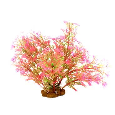 PINK - AQUATIC GRASS 7/17CM