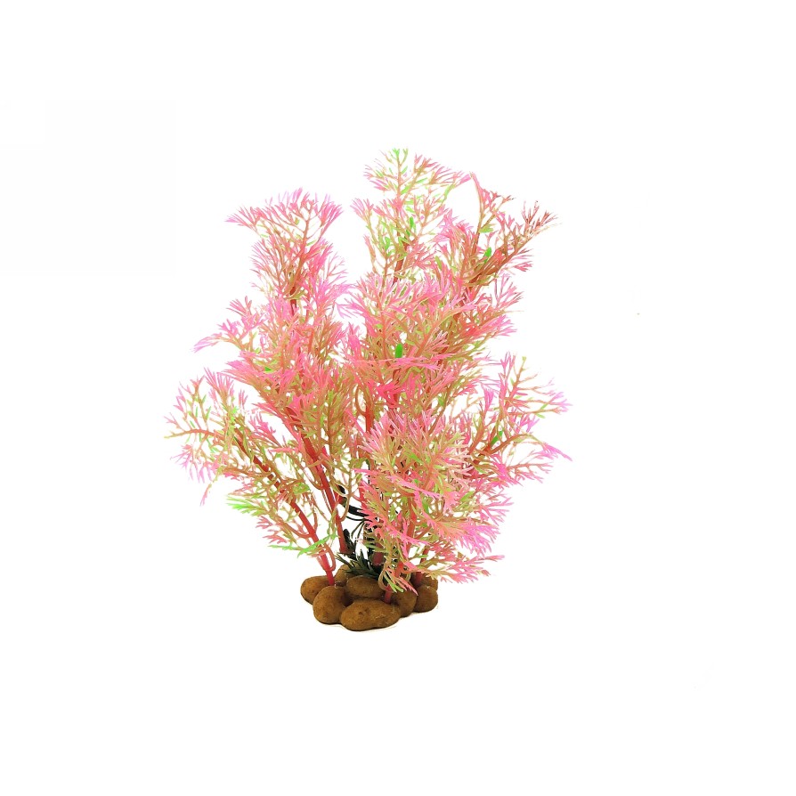 RED/GREEN - AQUATIC GRASS 6.5/17CM CLASSIC
