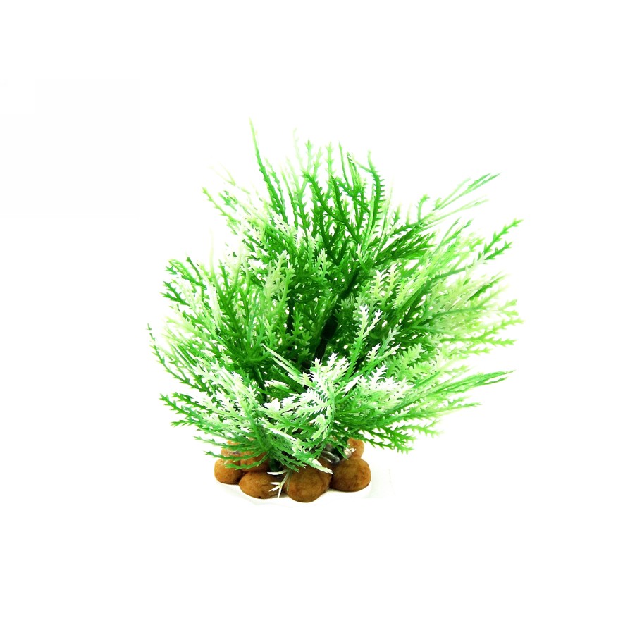 GREEN/WHITE - AQUATIC GRASS 6/15CM CLASSIC