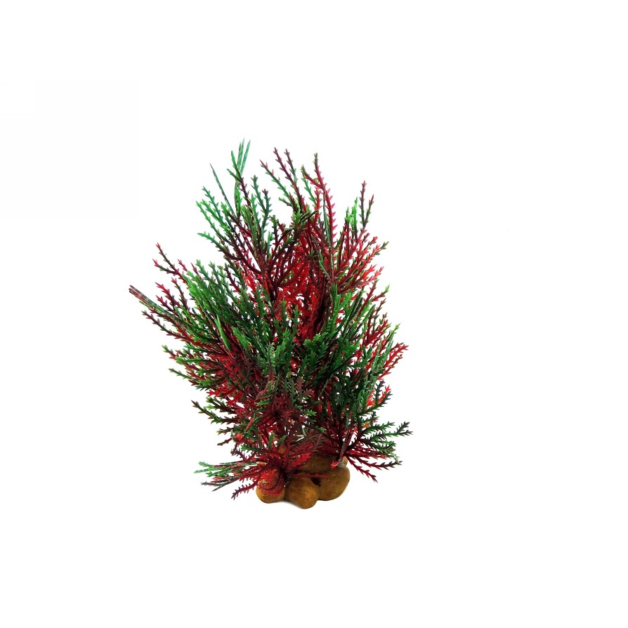 GREEN/RED - AQUATIC GRASS 6/15CM CLASSIC