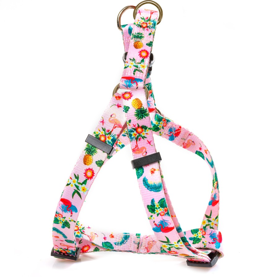 Glee Σαμαράκι Ιμάντα τύπου Α Flowers M 20mmx35-60cm GLEE