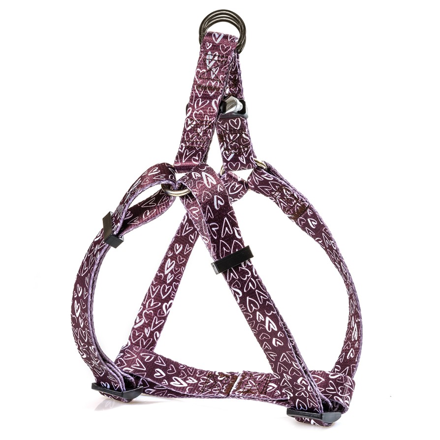 Glee Σαμαράκι Ιμάντα τύπου Α Hearts M 20mmx35-60cm GLEE
