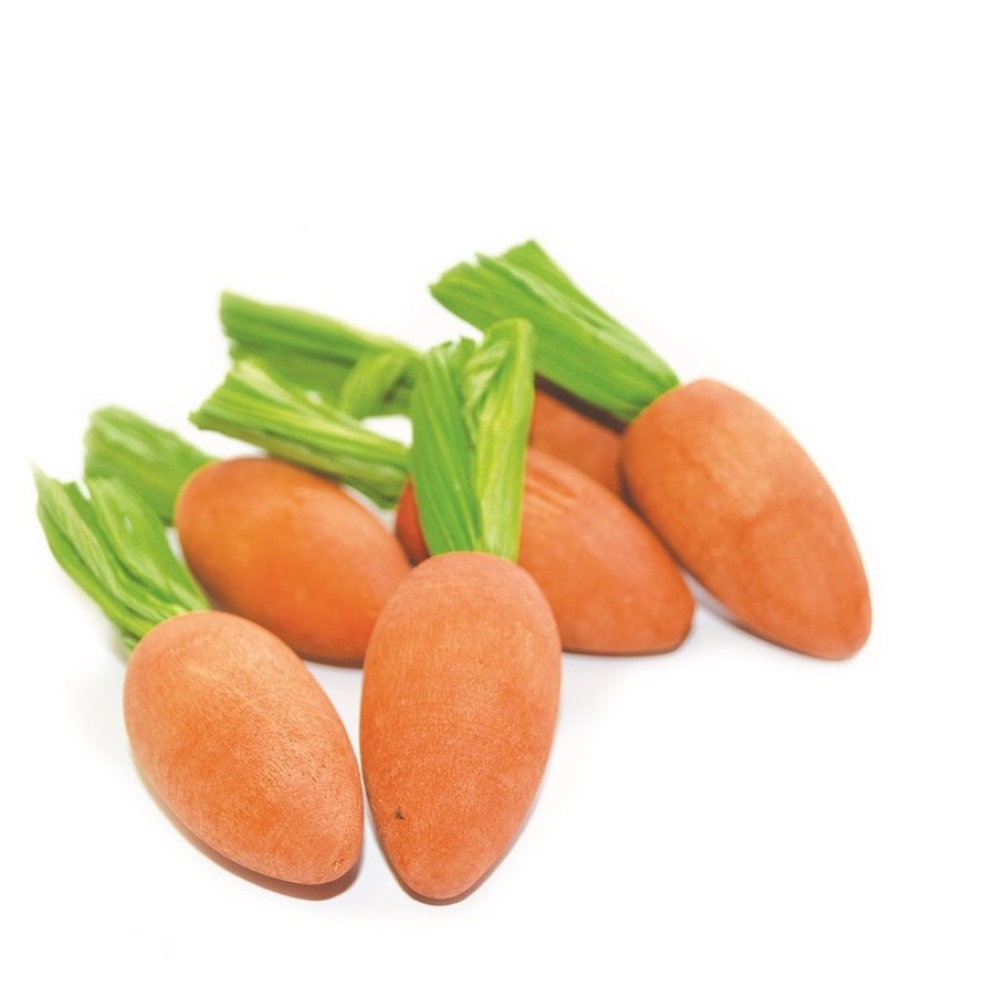 CARROT NIBBLERS 6pcs ΠΑΙΧΝΙΔΙΑ