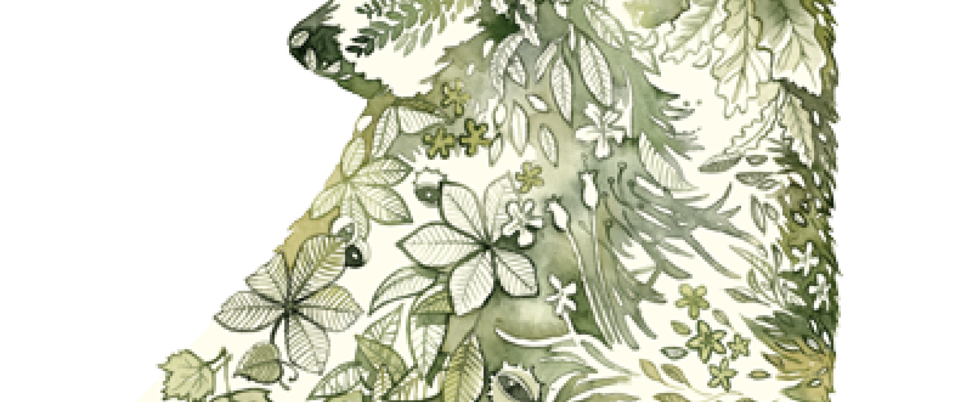 Isegrim Κονσέρβες Για Σκύλους